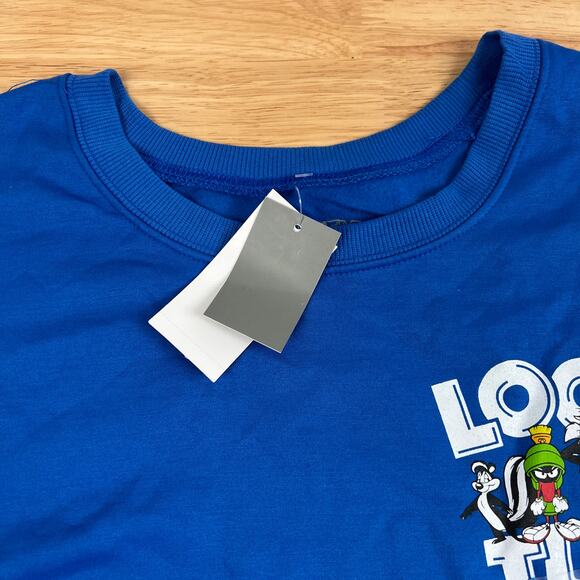 Looney Tunes Women's Blue That's All Folks Graphic Sweatshirt - Size Large - NWT - Picture 3 of 7